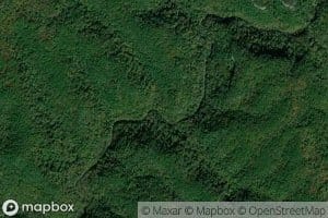 Bearpen Branch