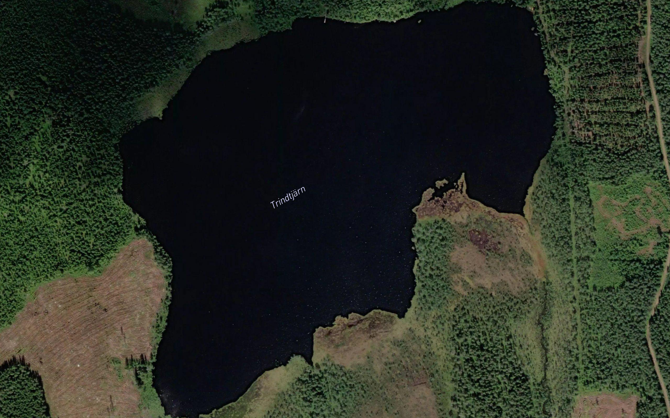 Trindtjarn