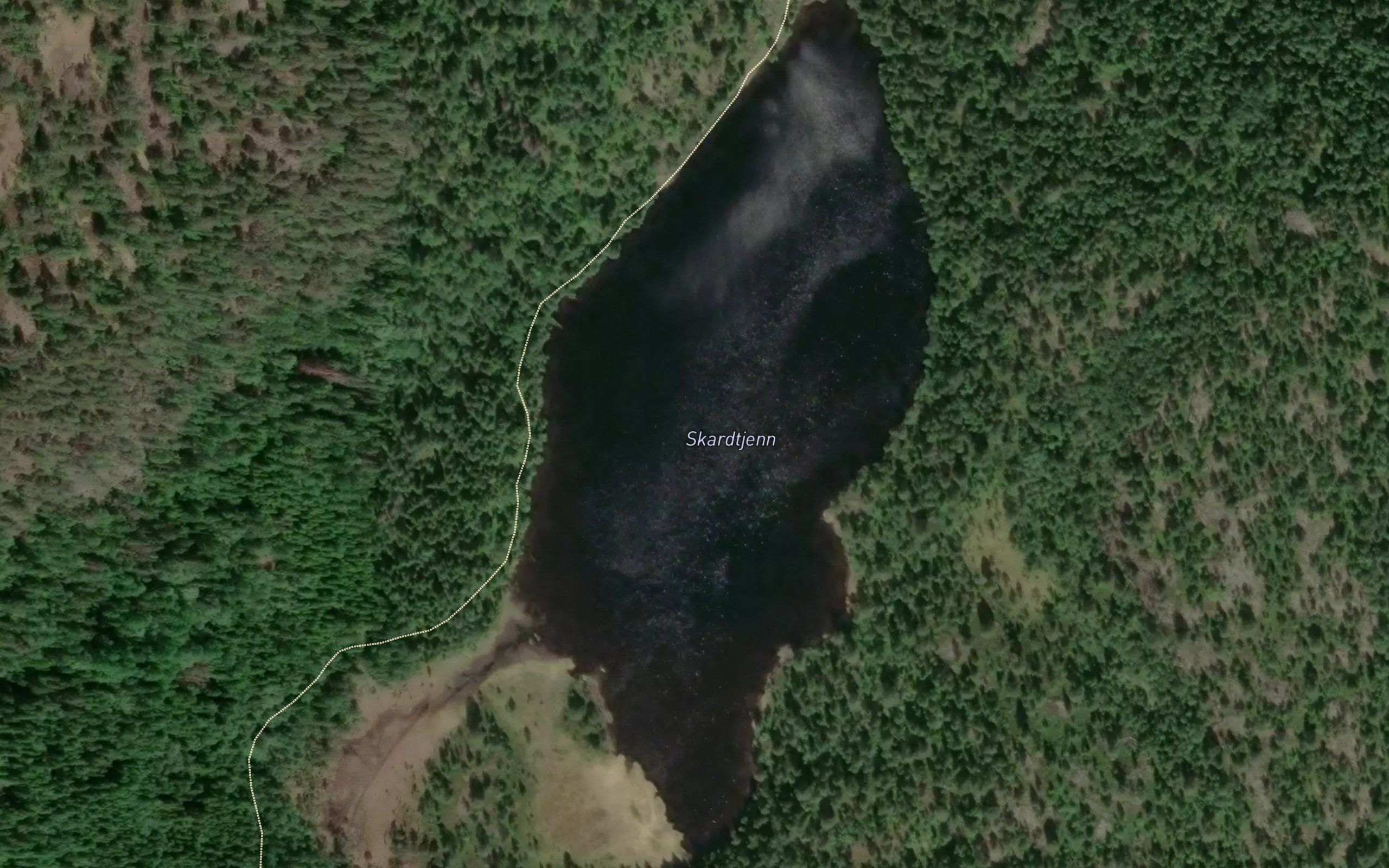 Skardtjern