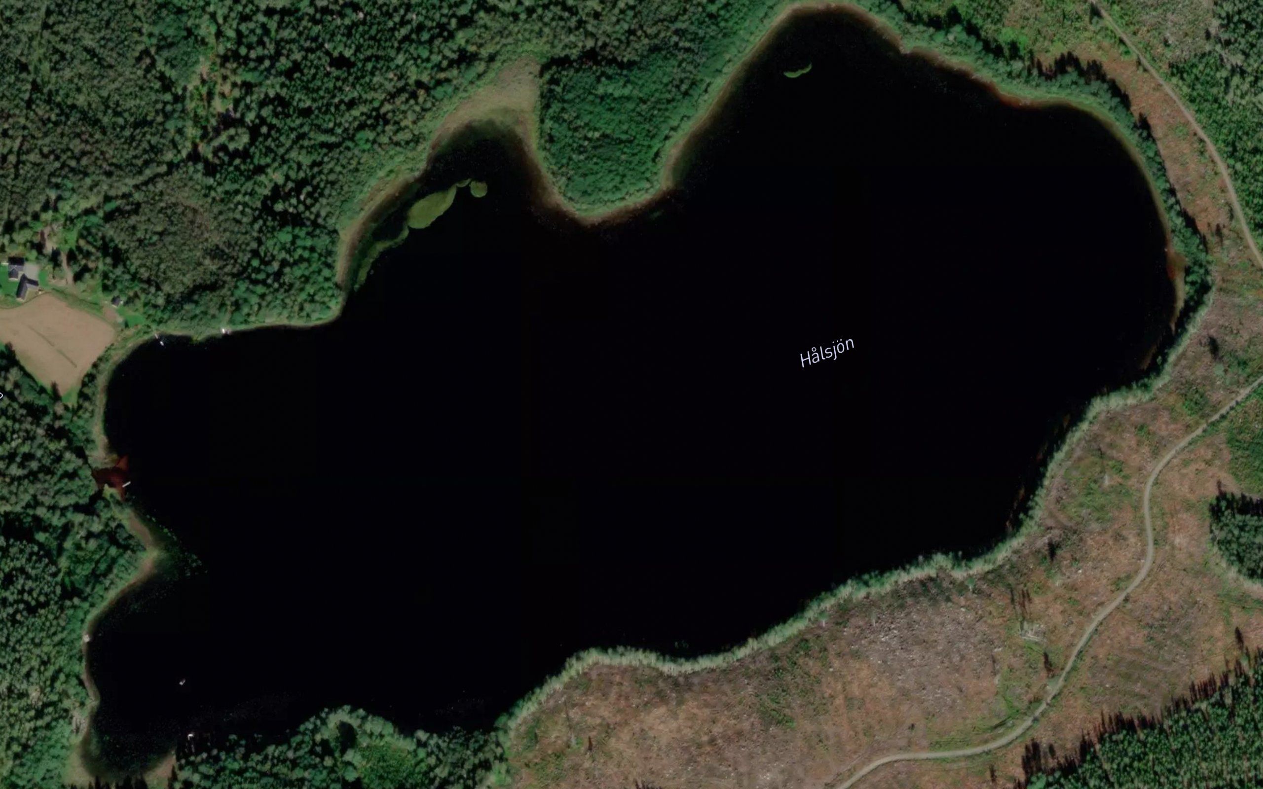 Halsjoen