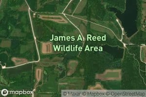 Reed Area Number 10 Lake