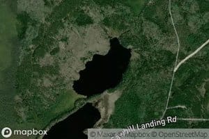 Bunny Lake