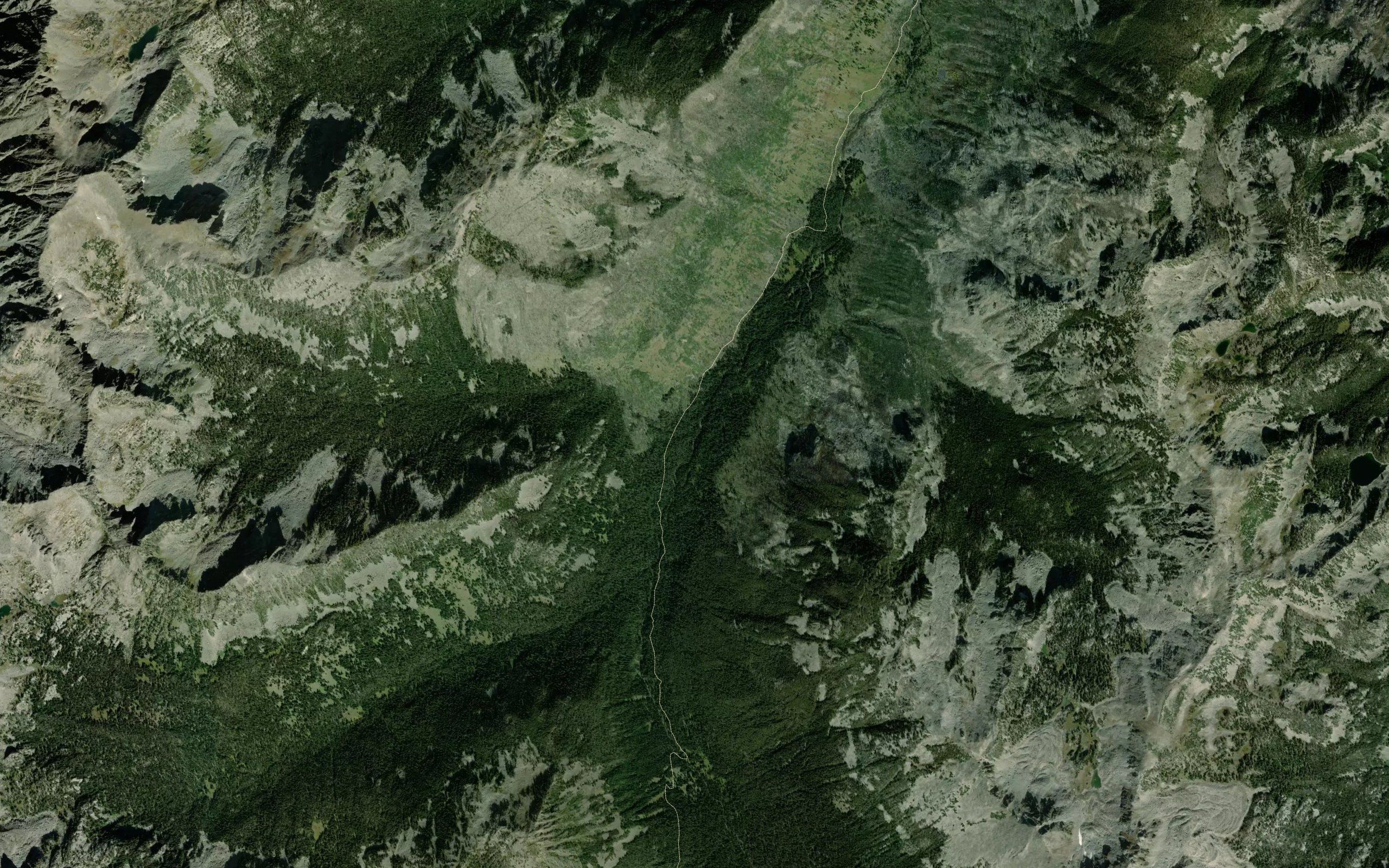 Jungle Creek