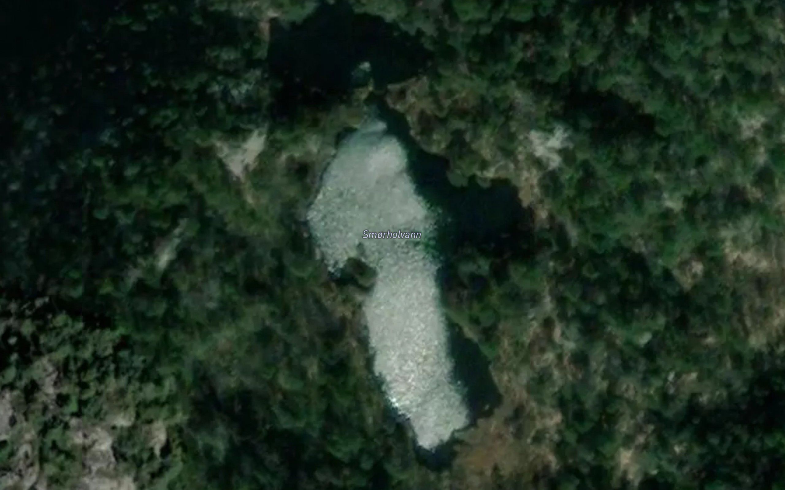 Smorholvann