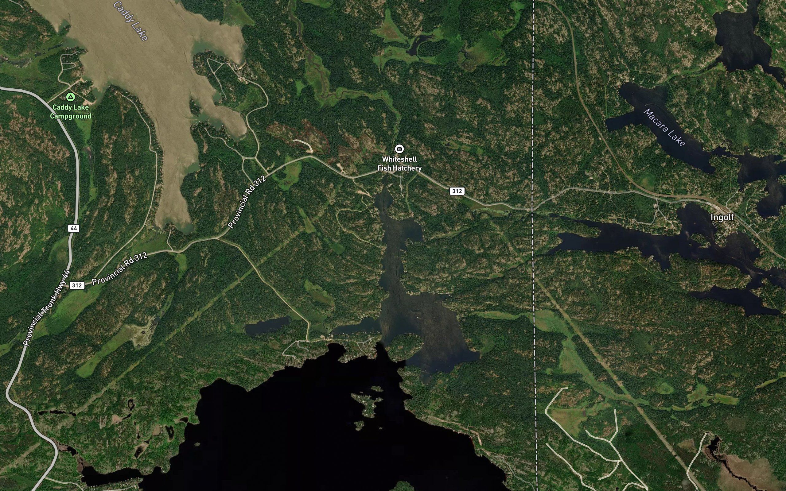 McDougalls Bay