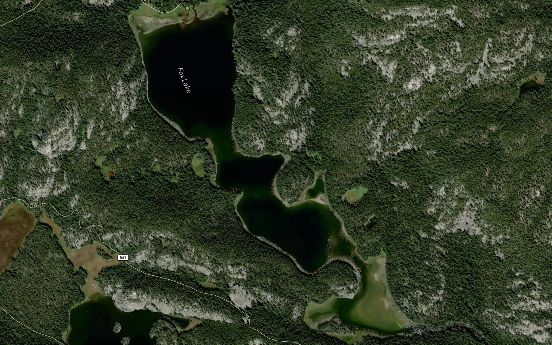 Satellite map of the Fox Lake