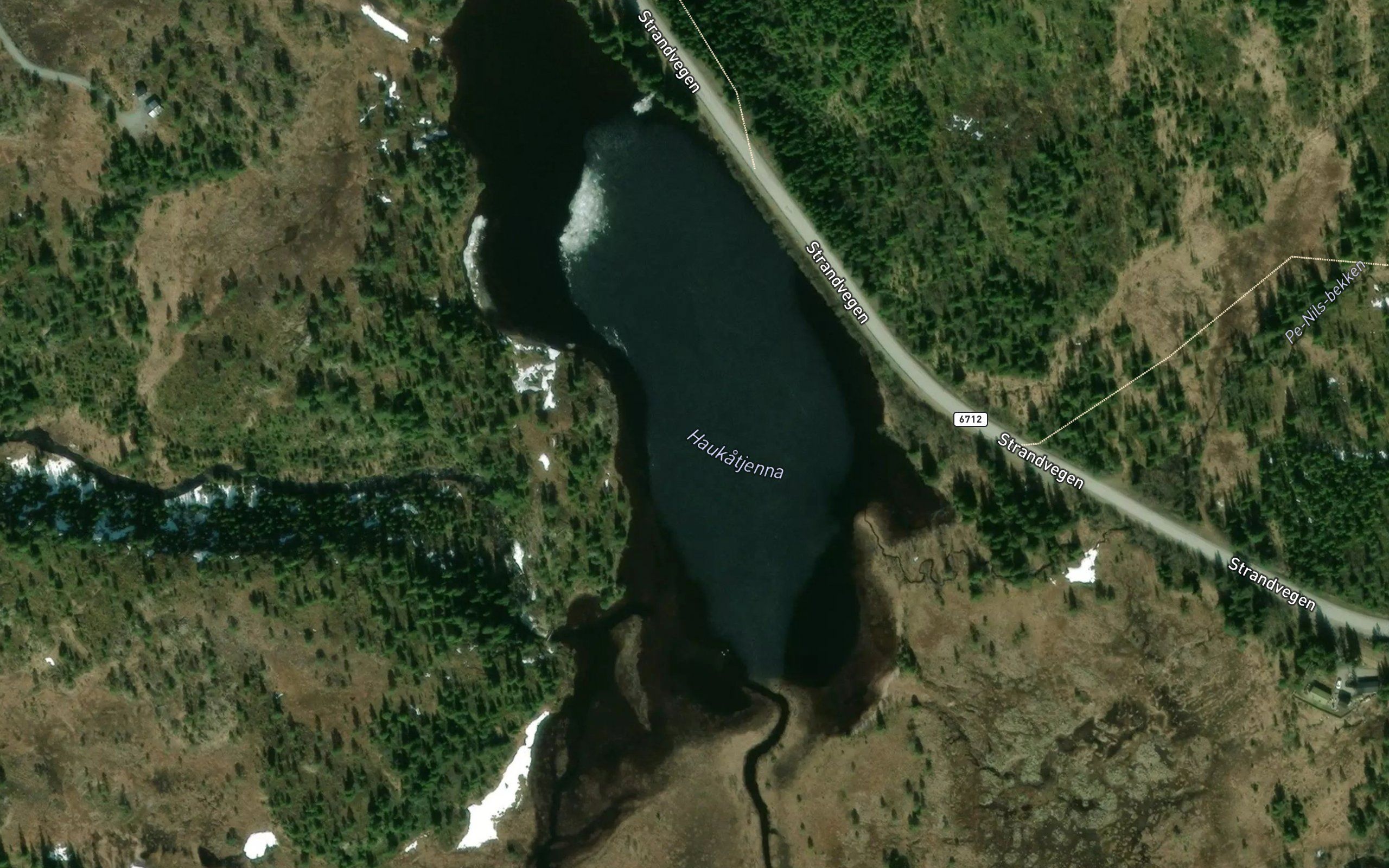 Haukatjorna