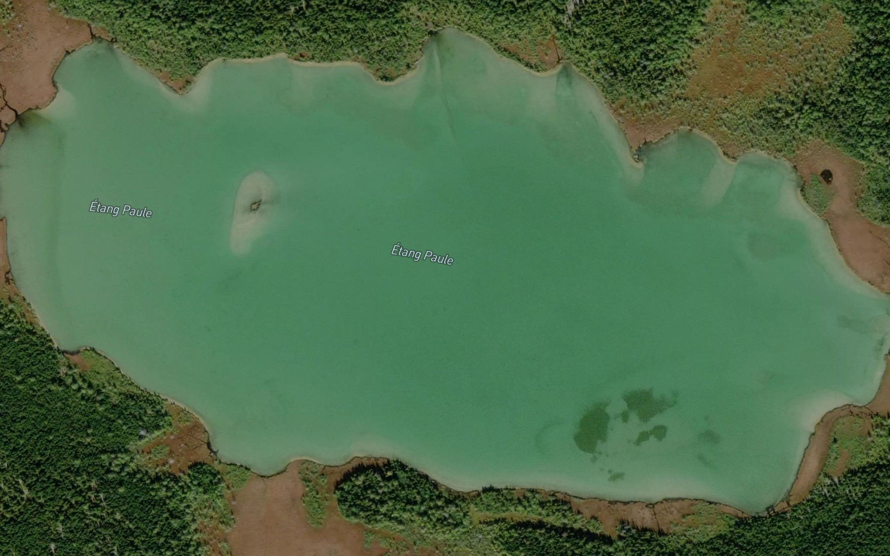 Satellite map of the Etang Paule