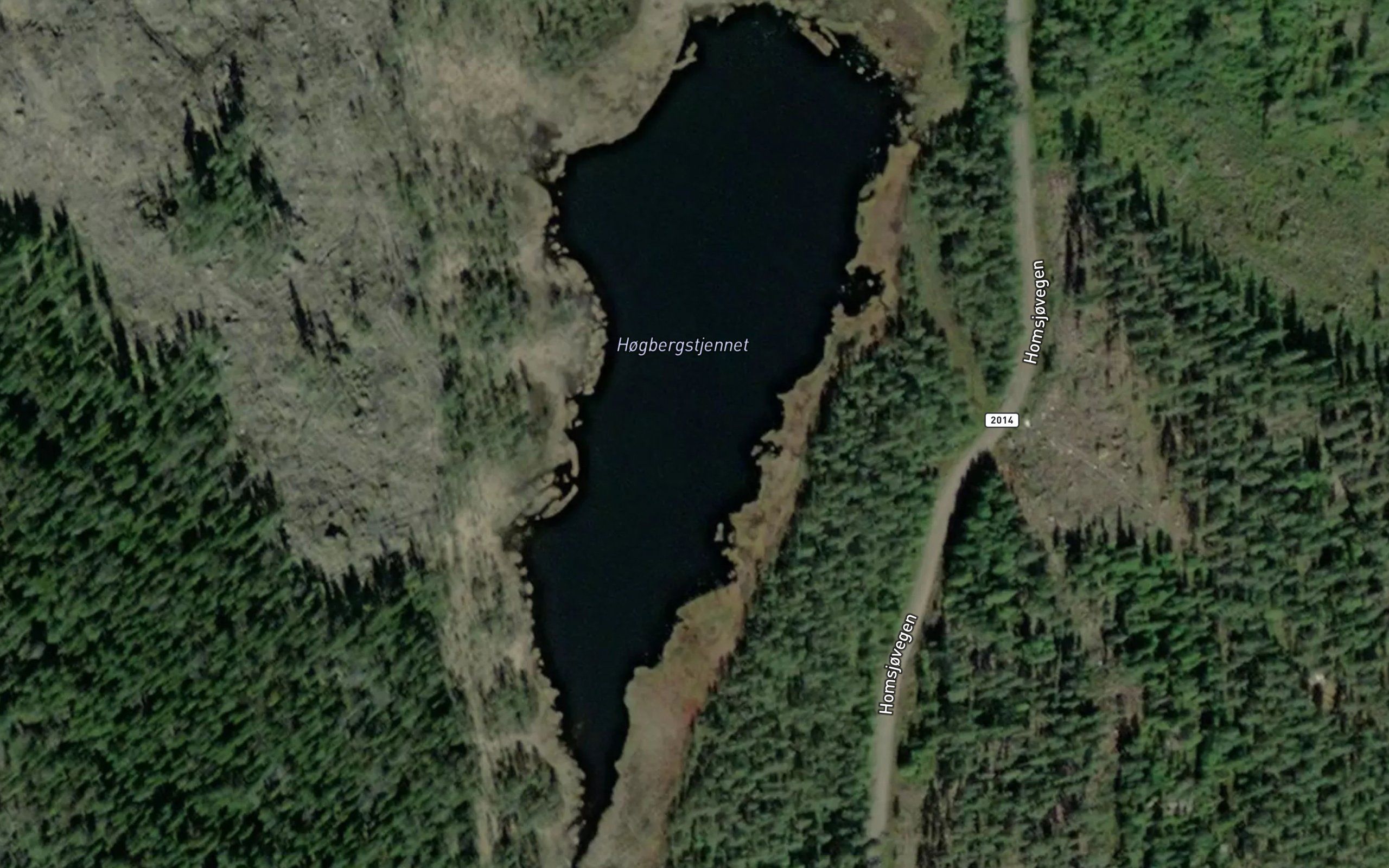 Hogbergstjernet
