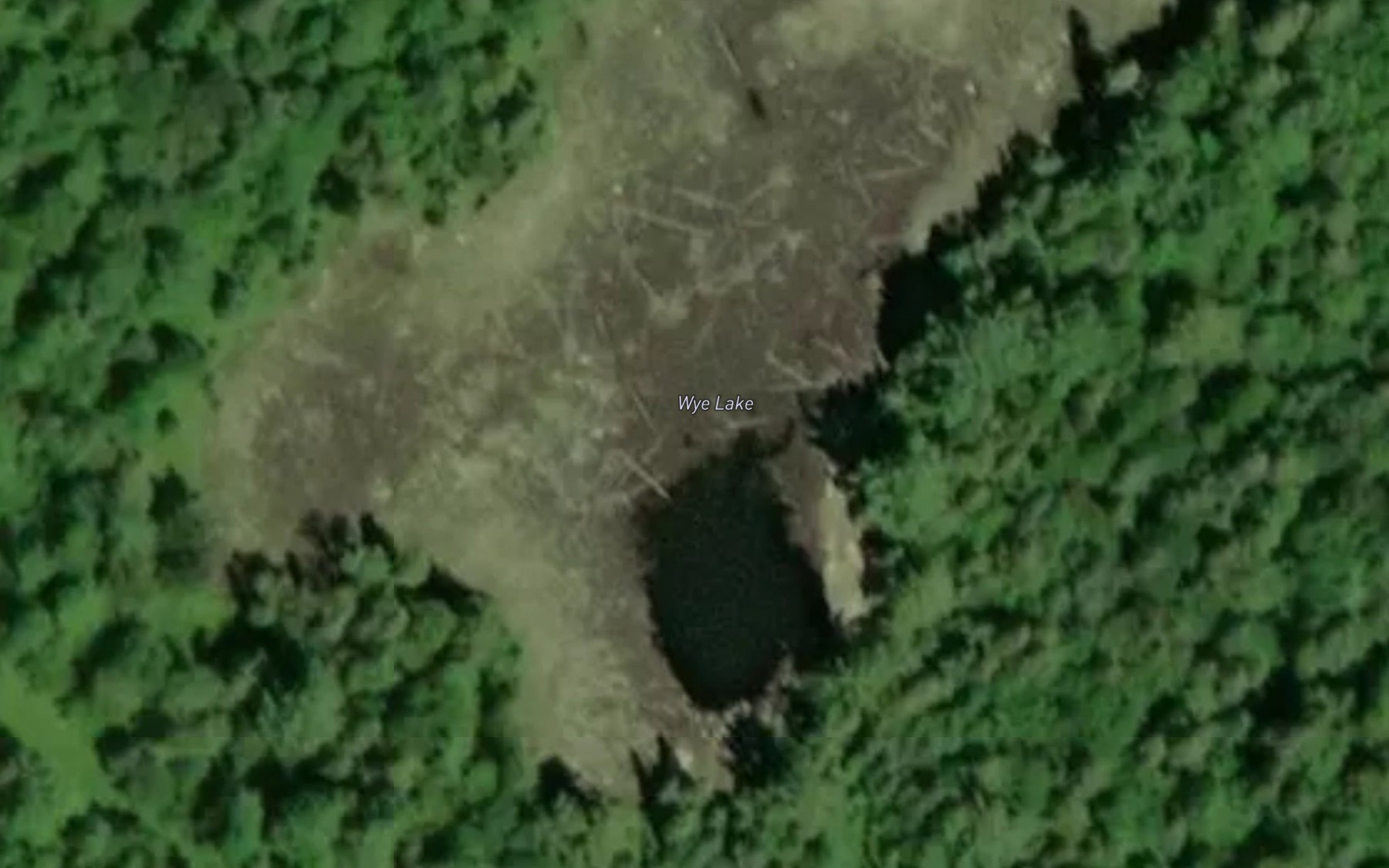 Satellite map of the Wye Lake