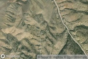Mountain Lion Spring