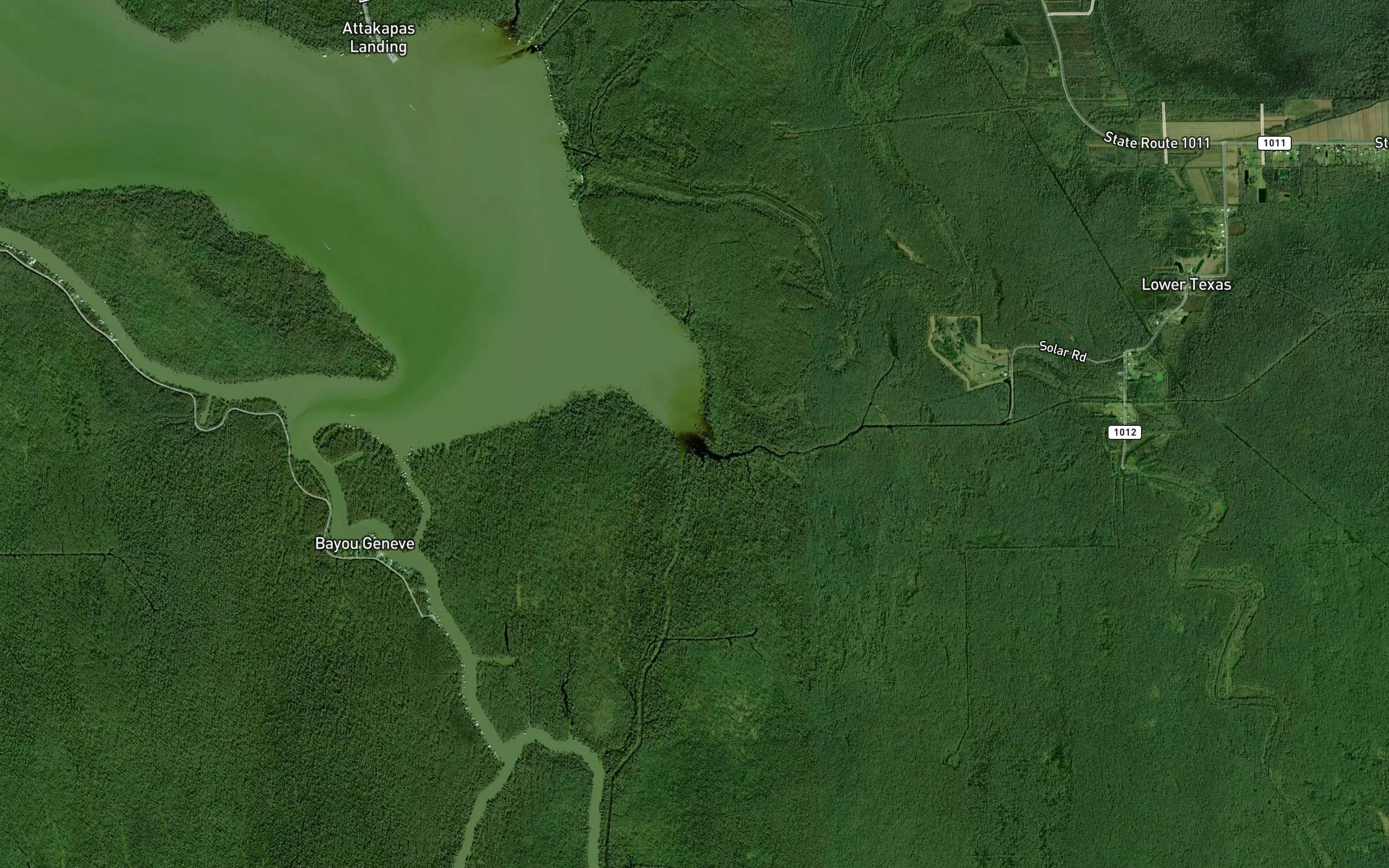 Bayou Louis