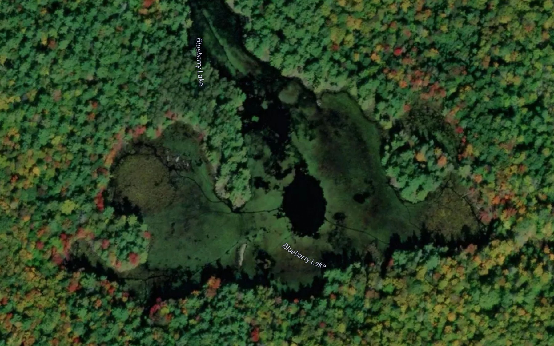 Satellite map of the Blueberry Lake