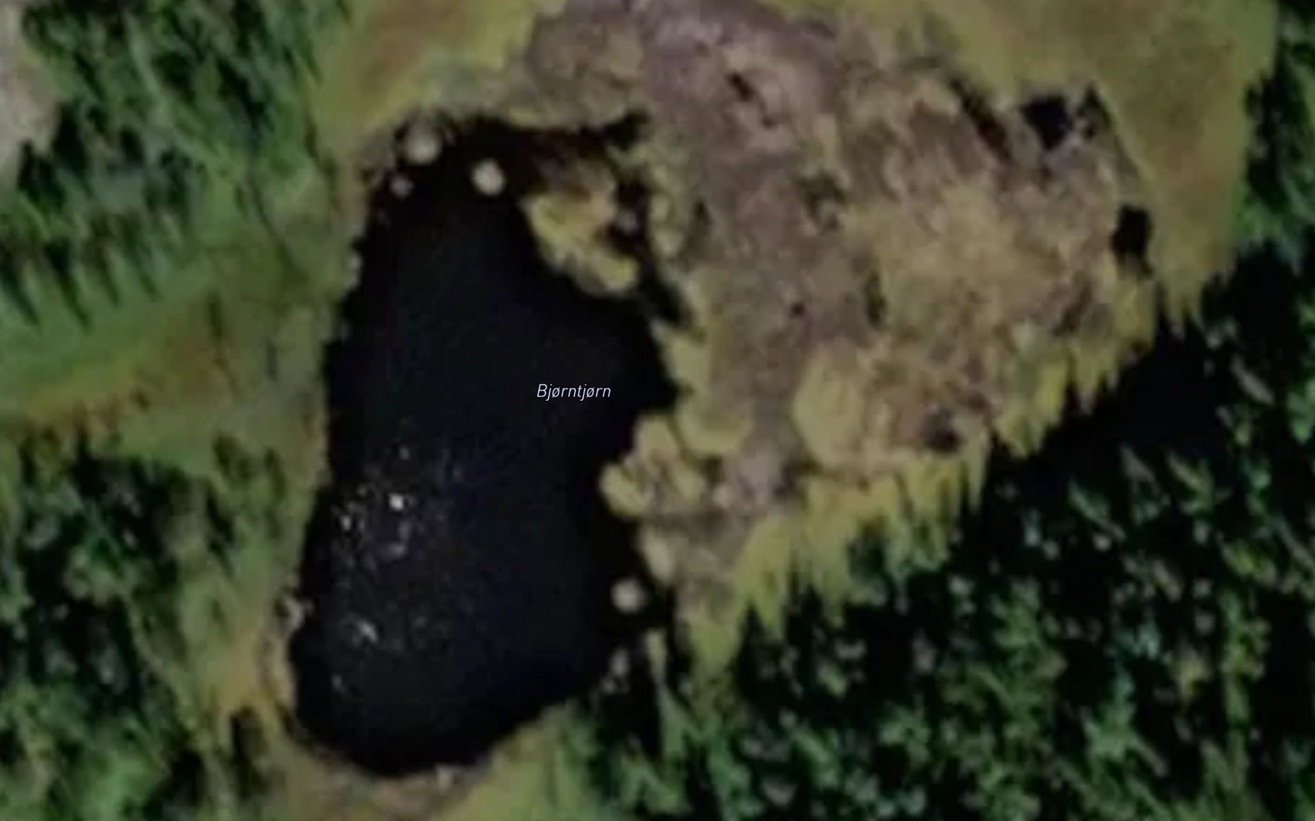 Bjorntjorn