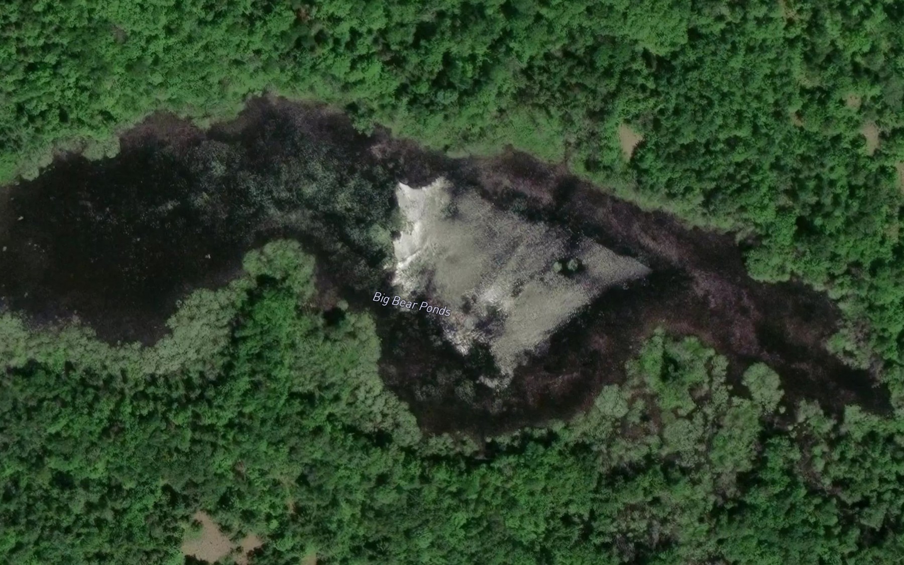 Satellite map of the Big Bear Ponds