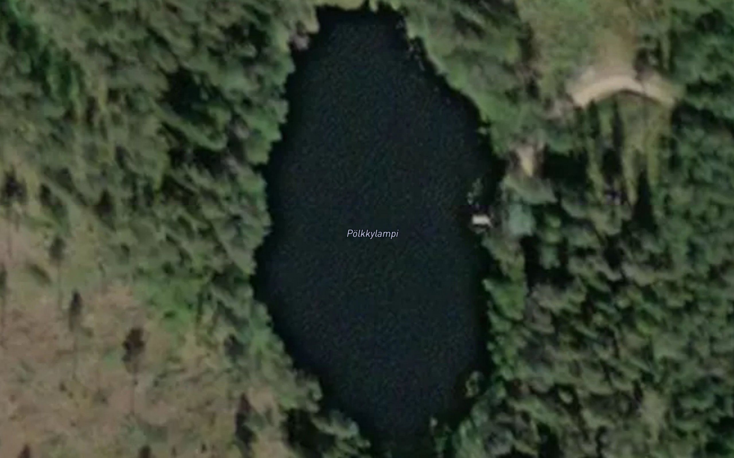 Polkkylampi
