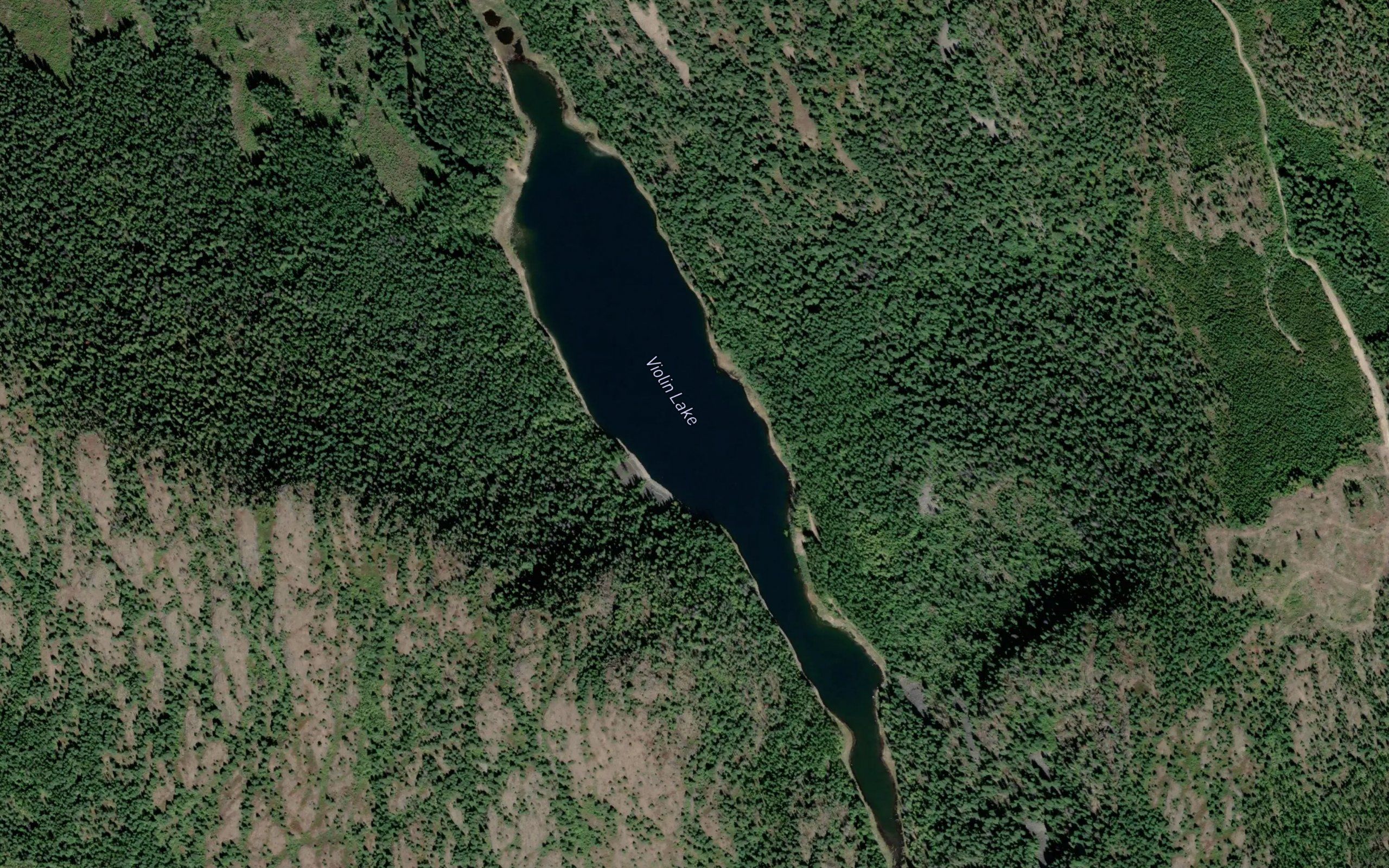 Violin Lake