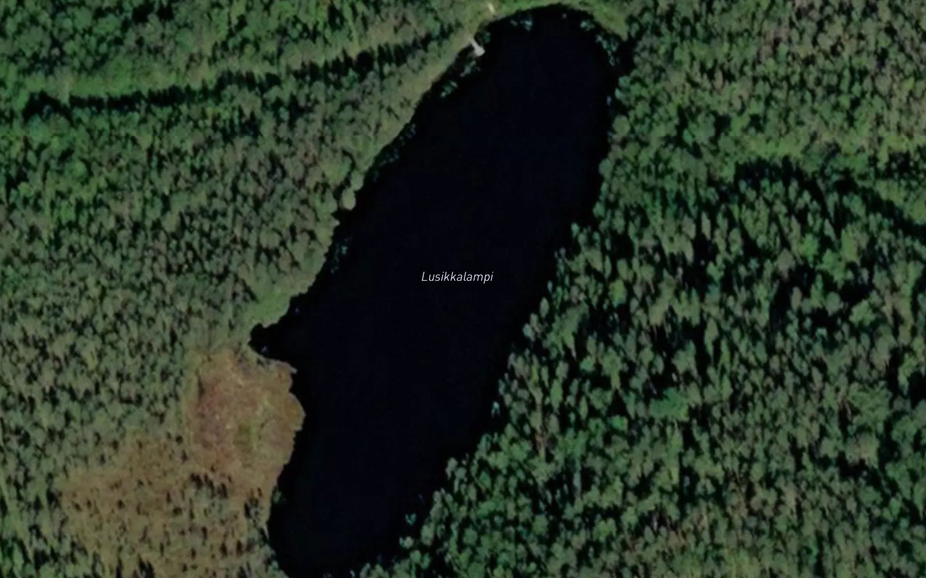 Satellite map of the Lusikkalampi