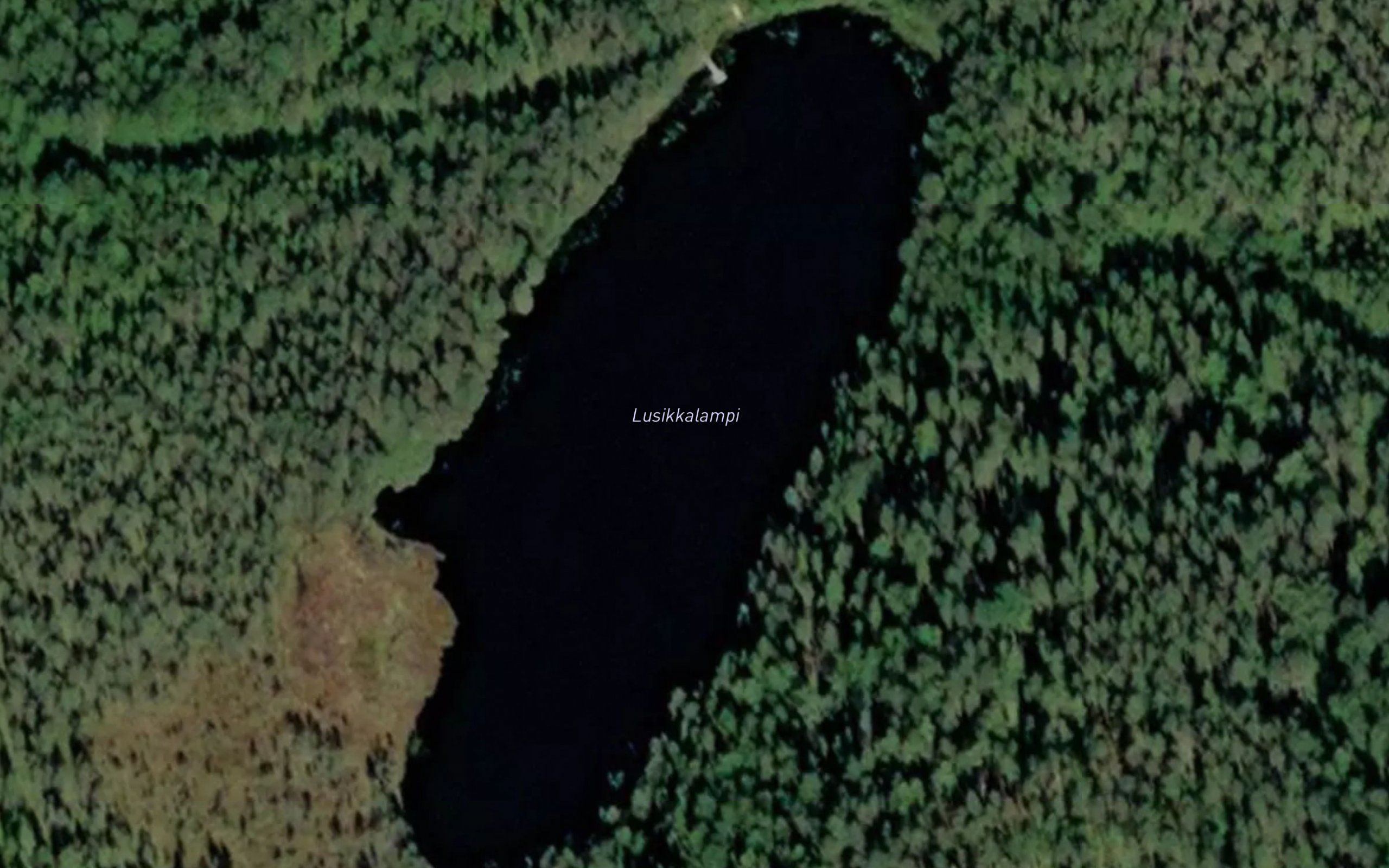 Lusikkalampi
