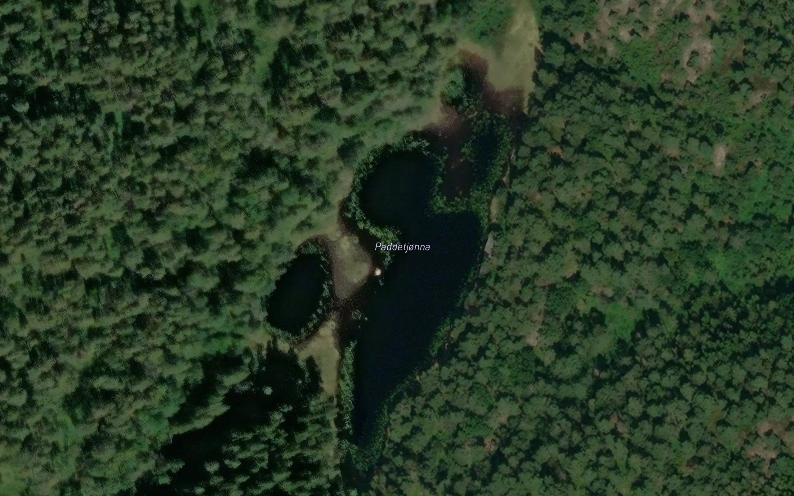 Paddetjonna