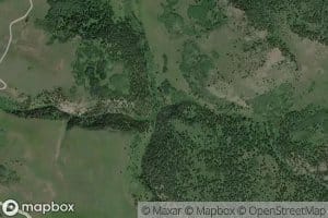 Anthill Creek