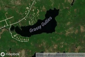 Grassy Gullies