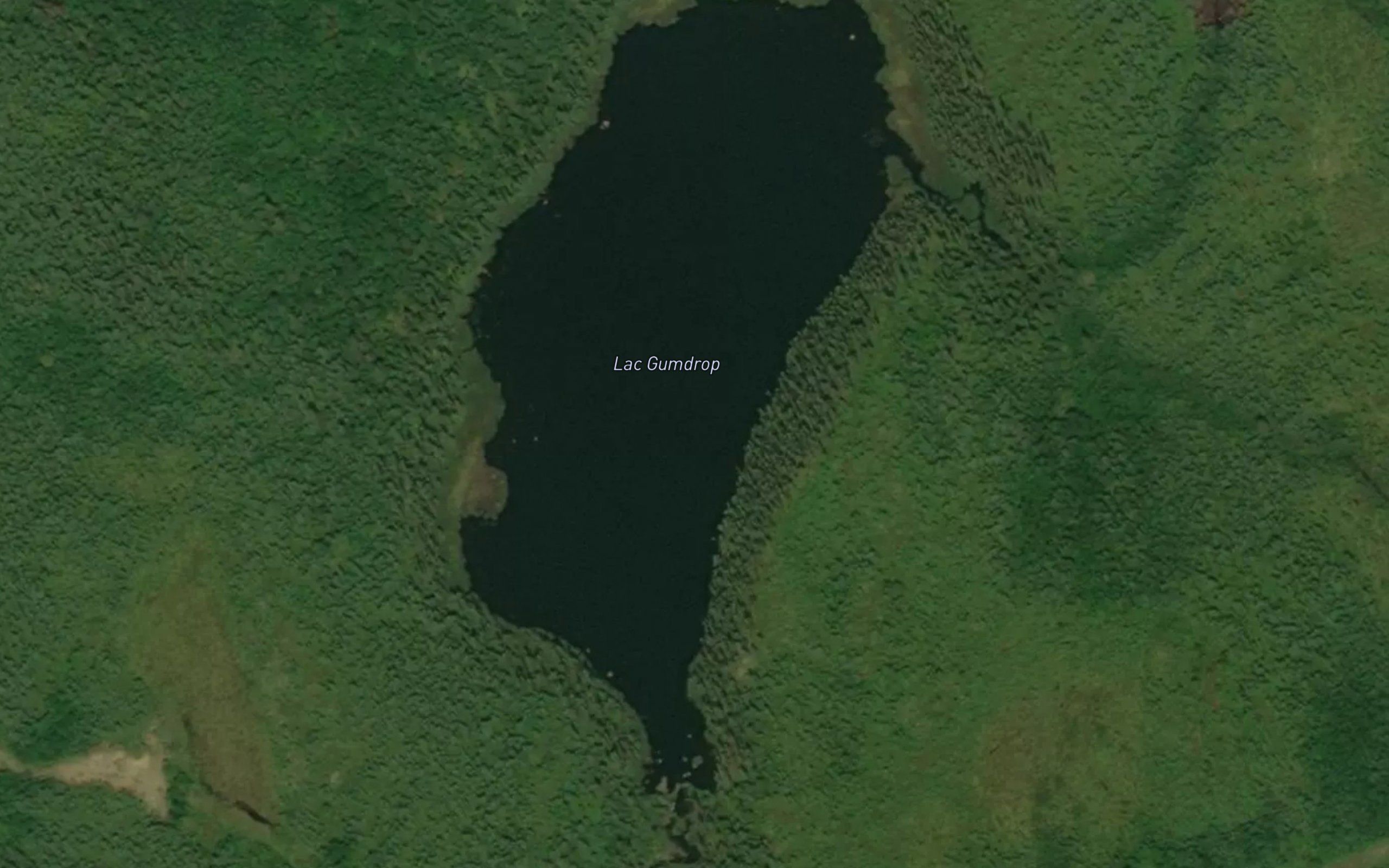 Lac Gumdrop