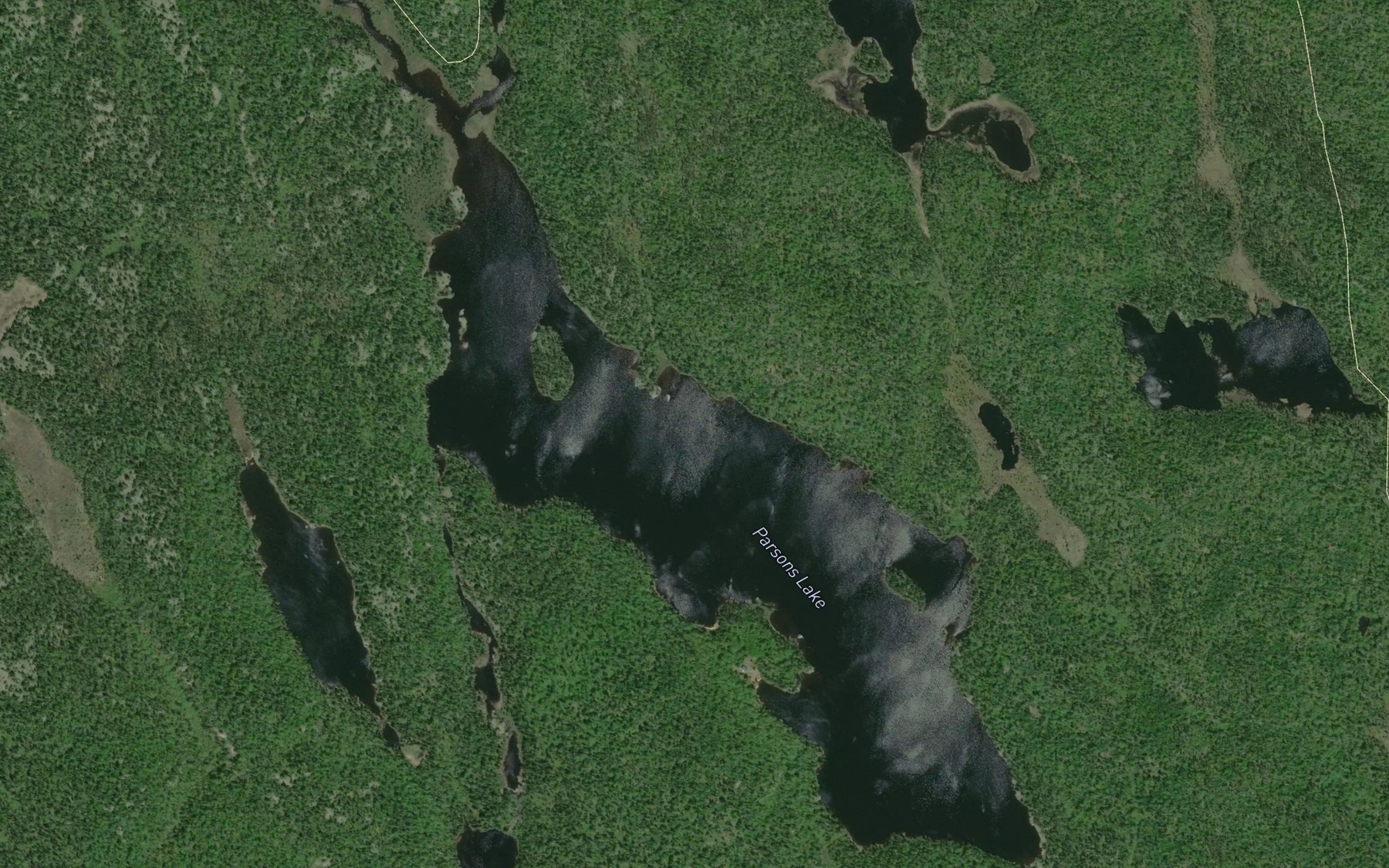 Satellite map of the Parsons Lake
