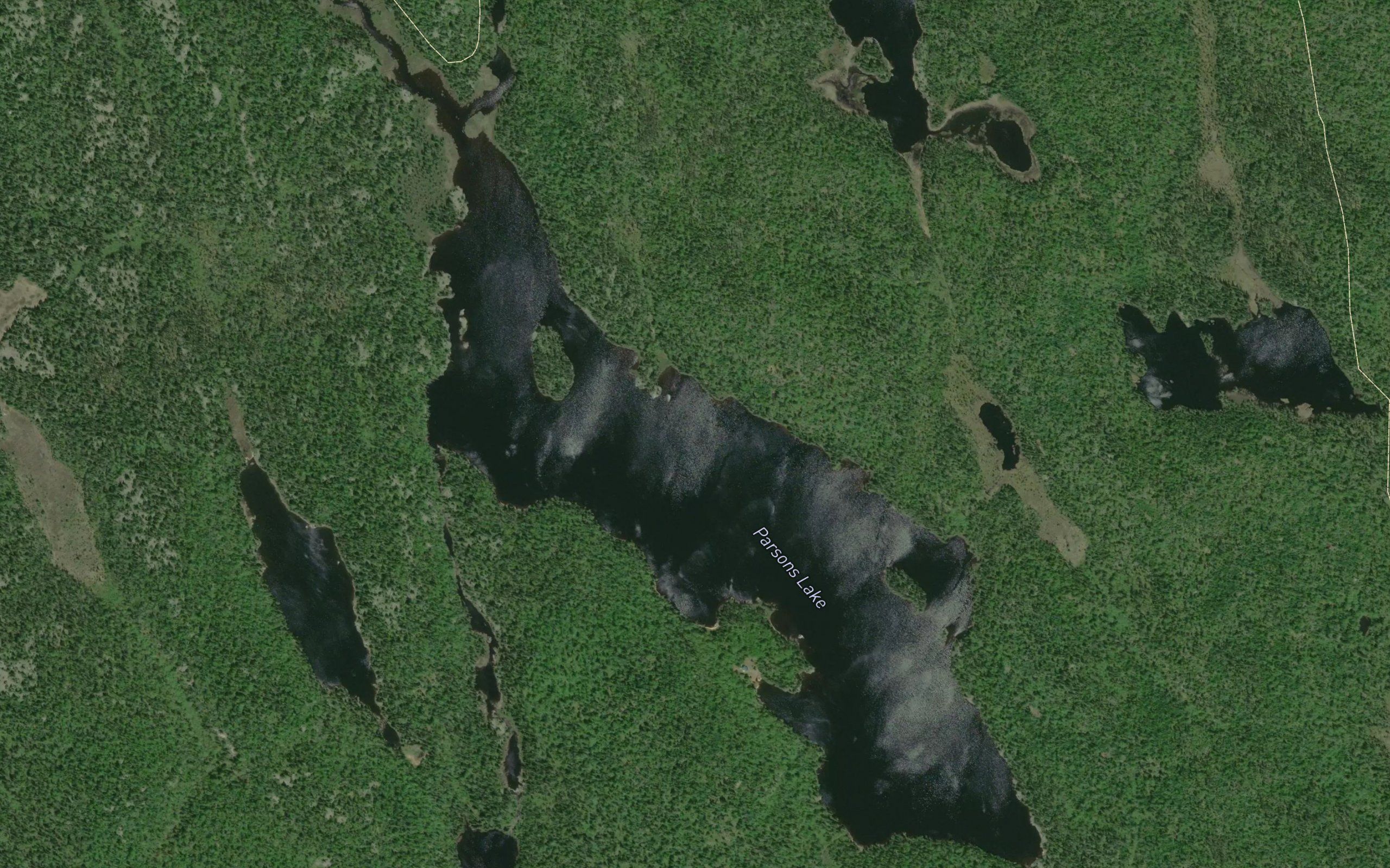 Parsons Lake