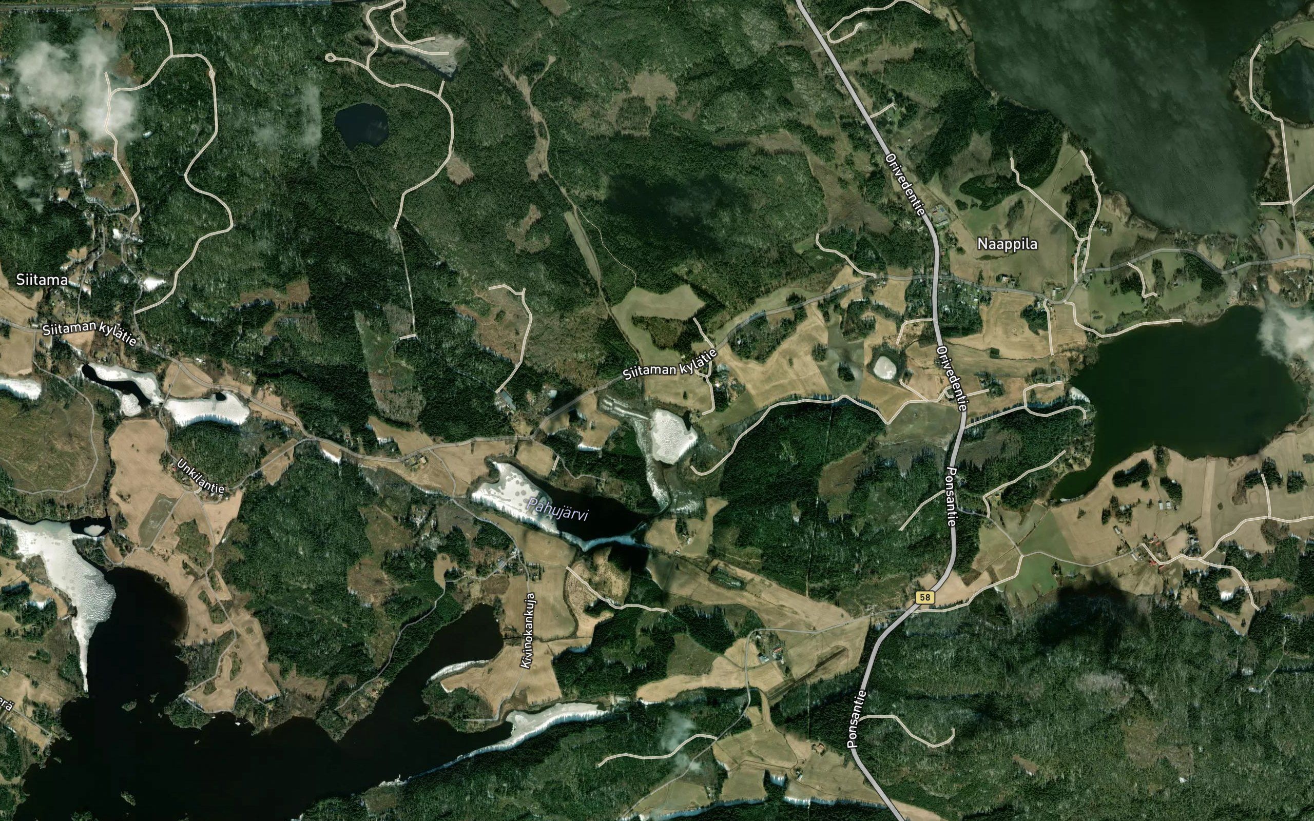 Pihtioja