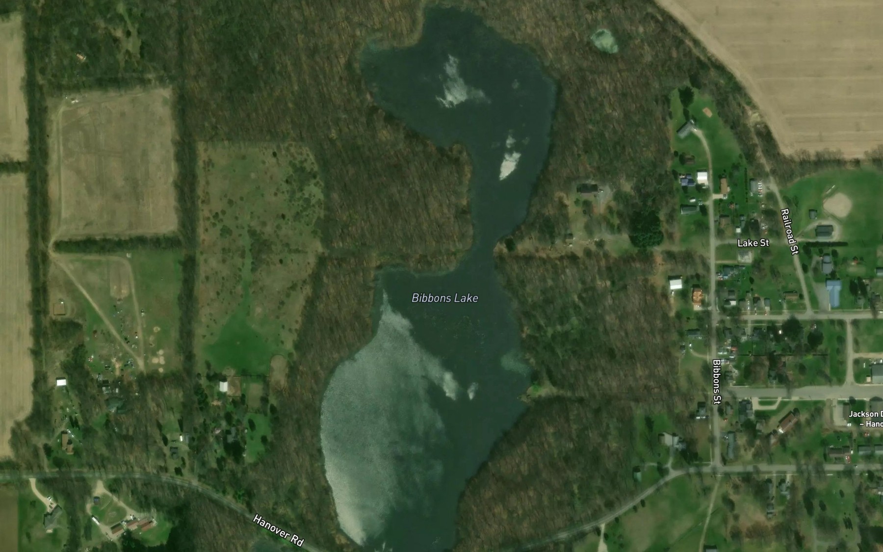 Satellite map of the Bibbons Lake