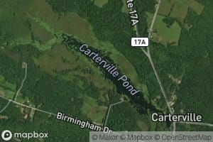 Carterville Pond