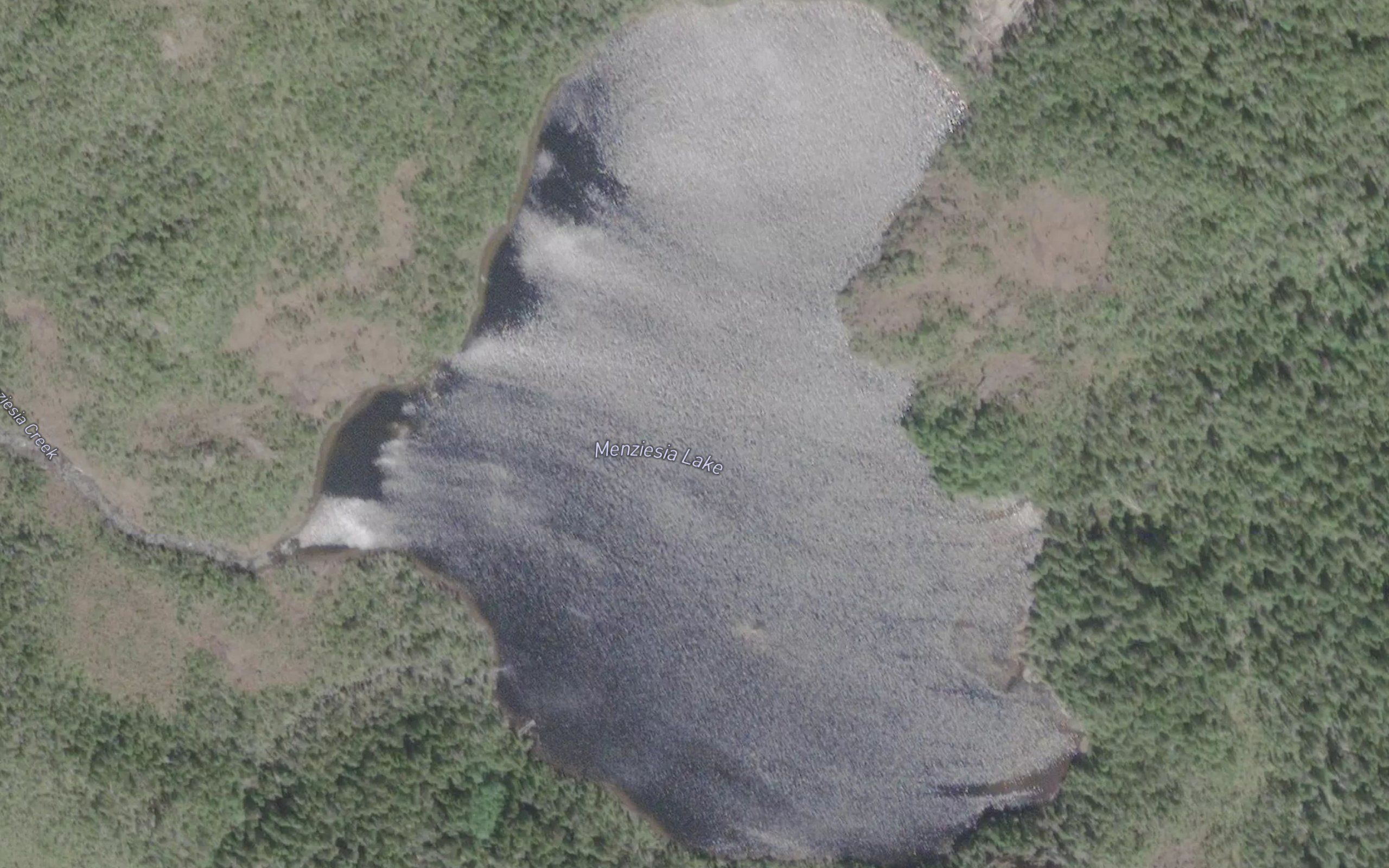 Menziesia Lake