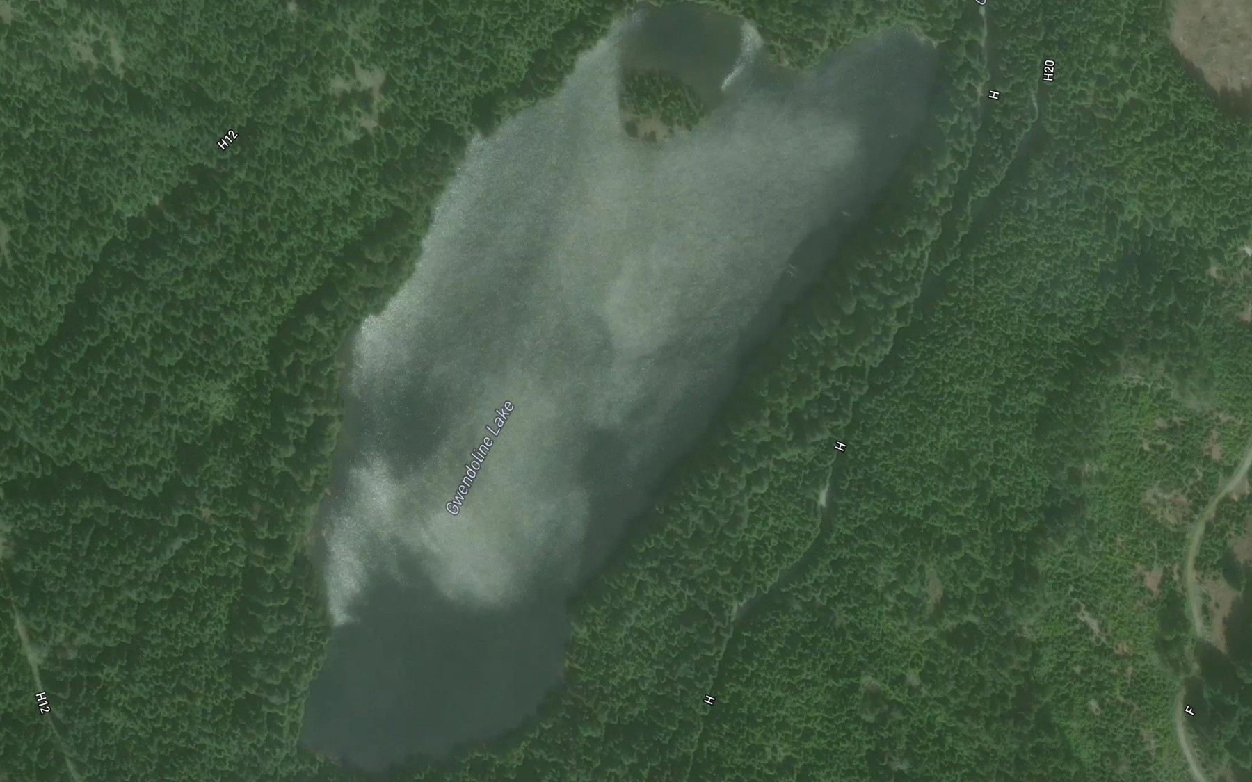 Satellite map of the Gwendoline Lake