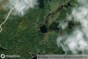 Marshy Lake