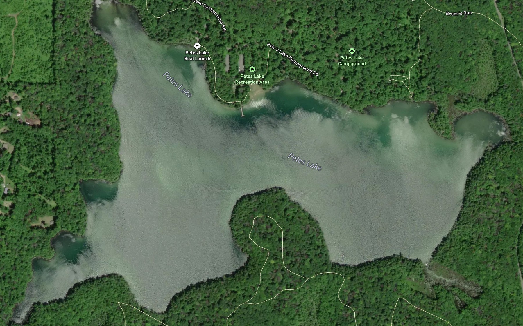 Satellite map of the Petes Lake