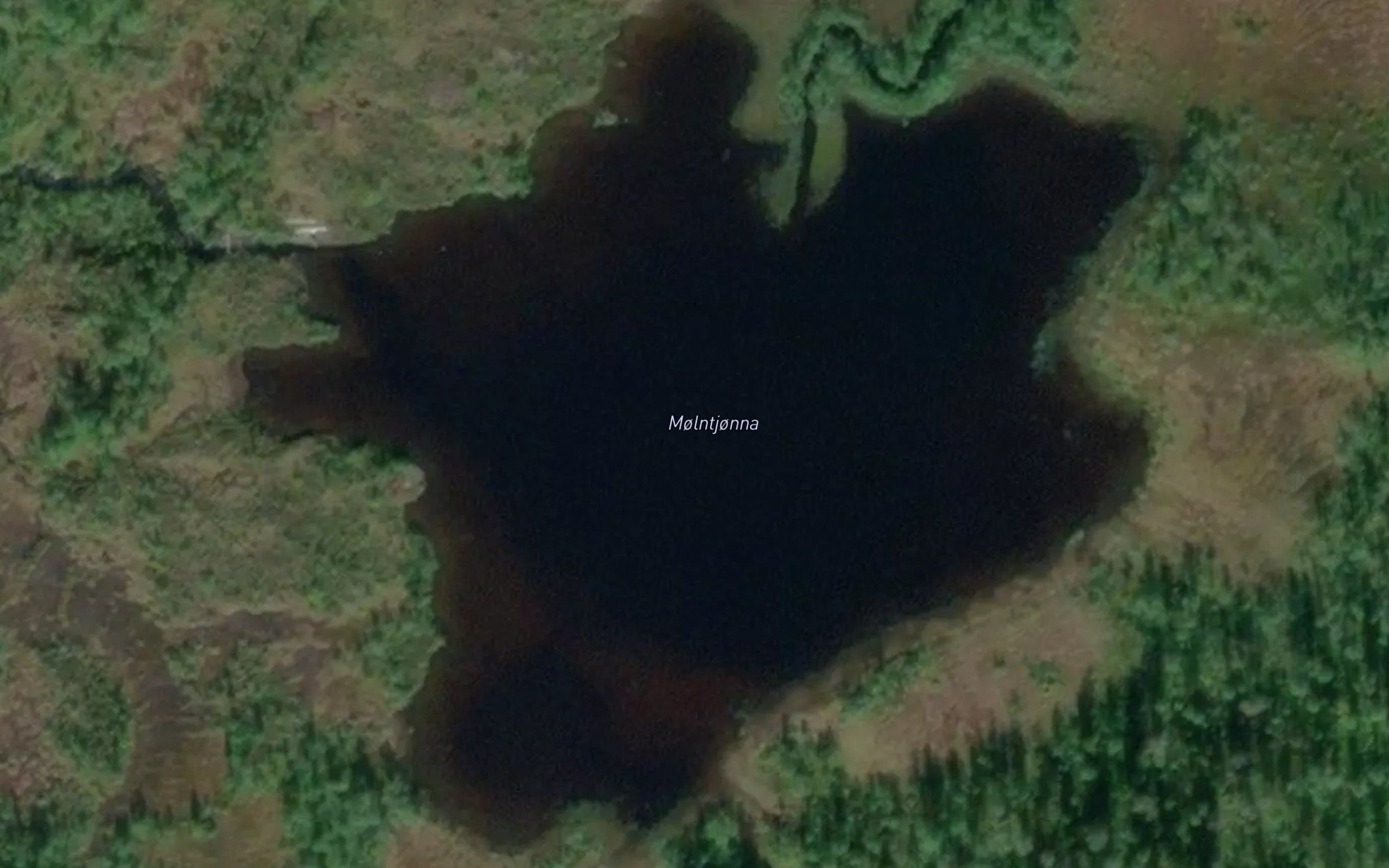 Molntjorna
