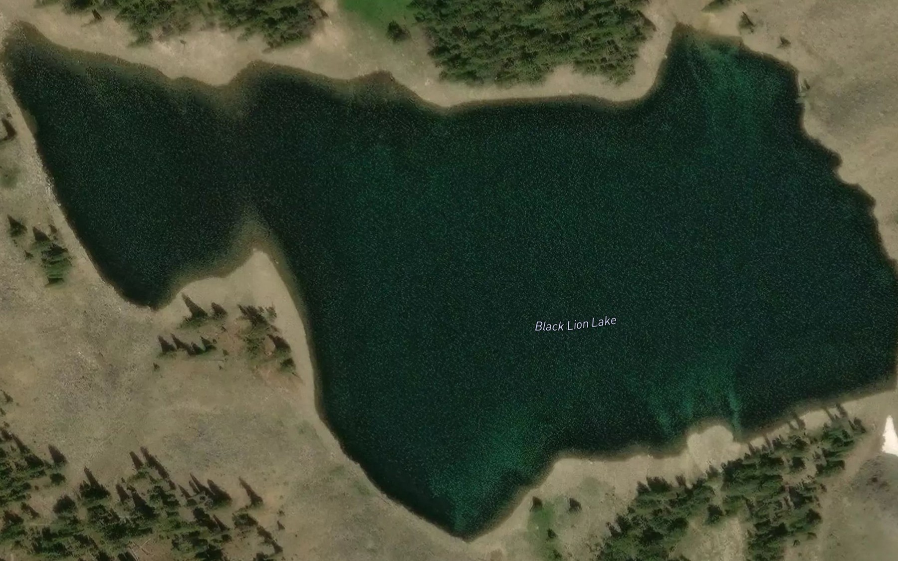 Satellite map of the Black Lion Lake
