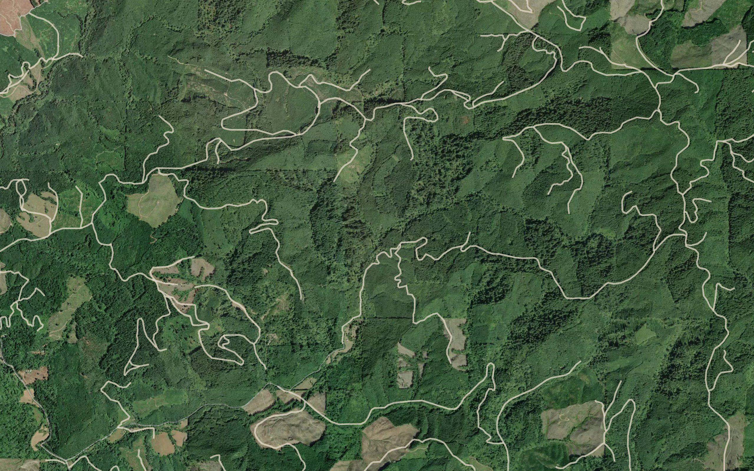 Dutch Creek