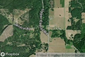 Wildcat Creek
