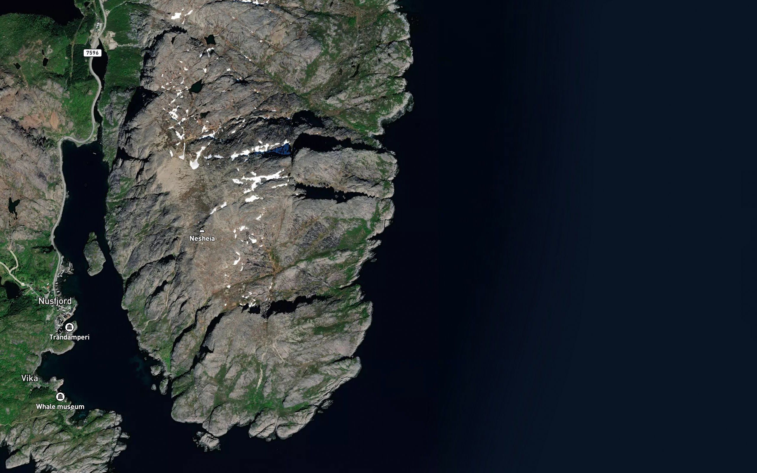 Dalvika