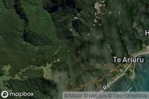 Waitakeo Stream