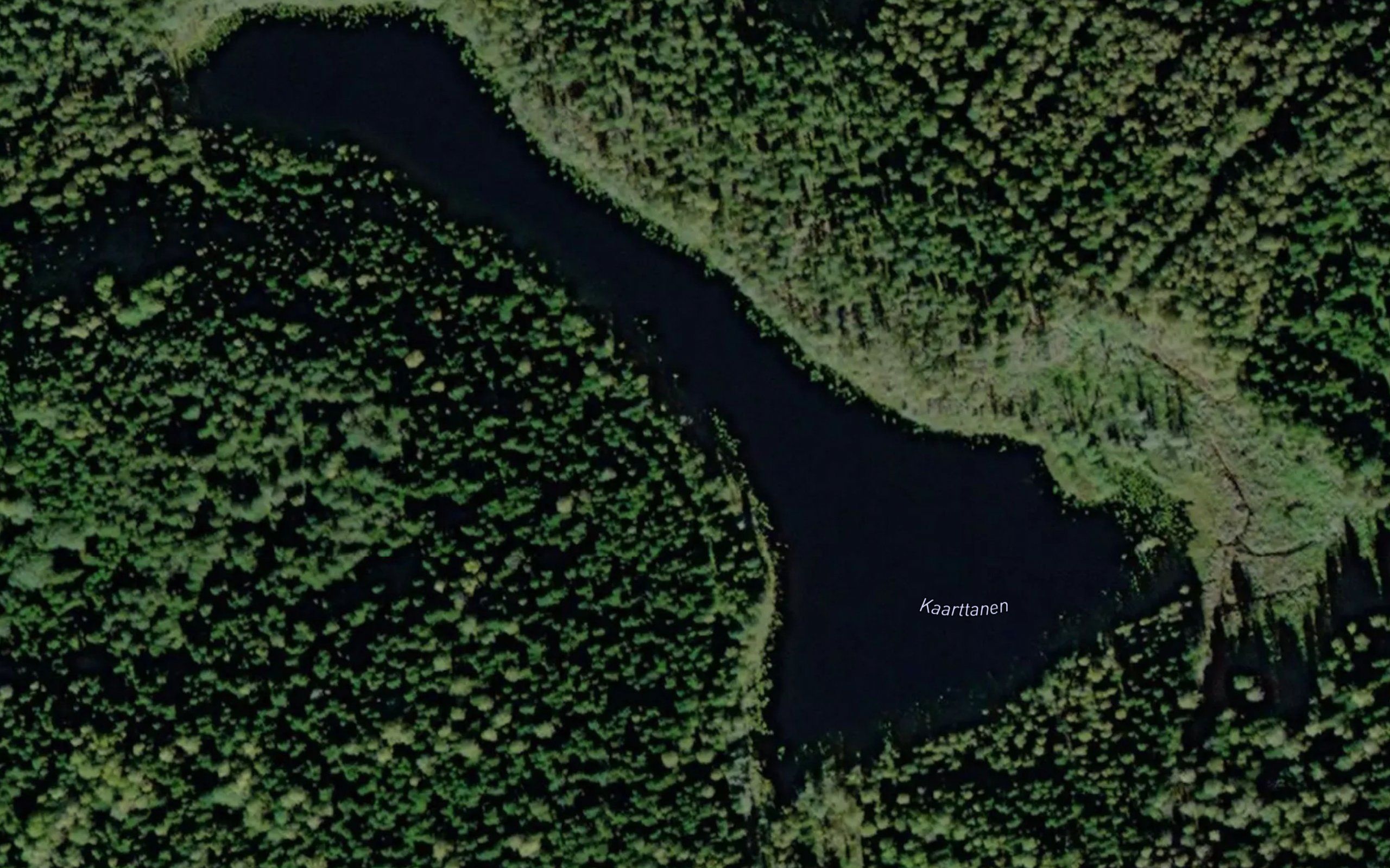 Kaarttanen