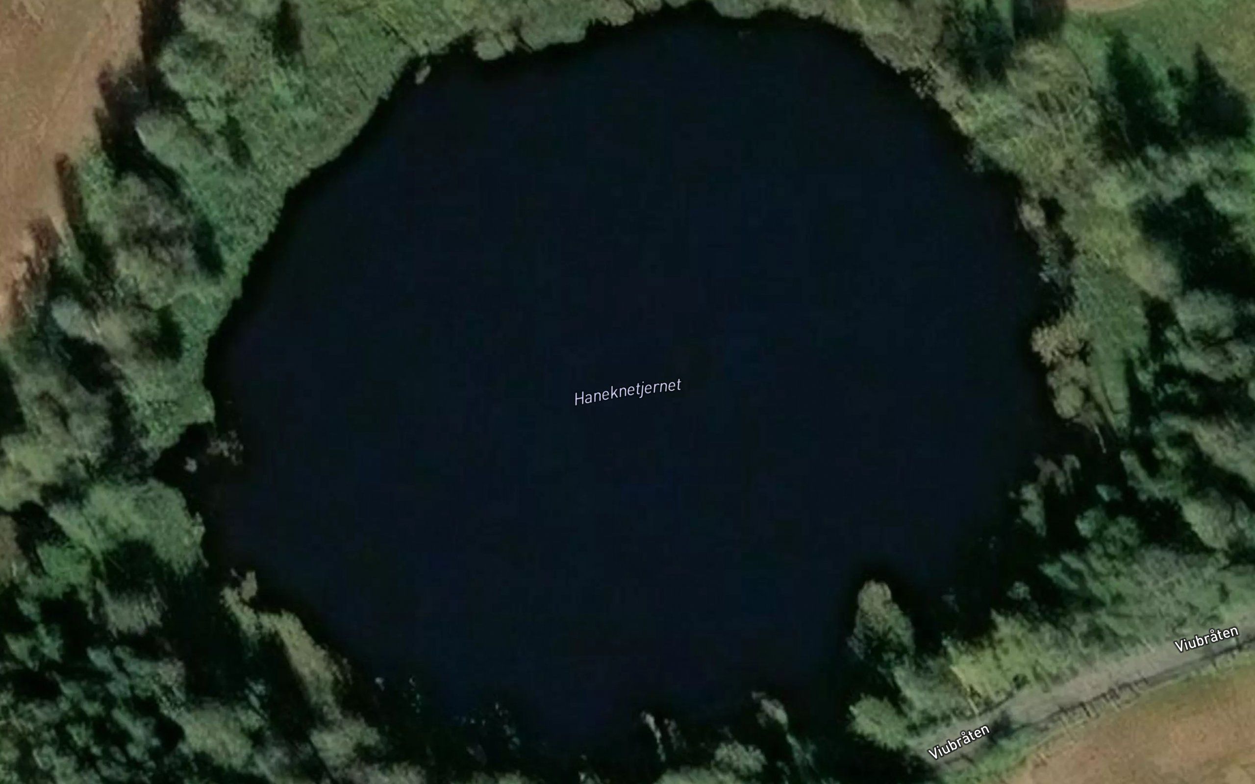 Haneknetjernet