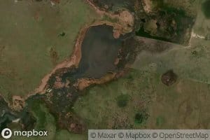 Arroyo de los Troncos