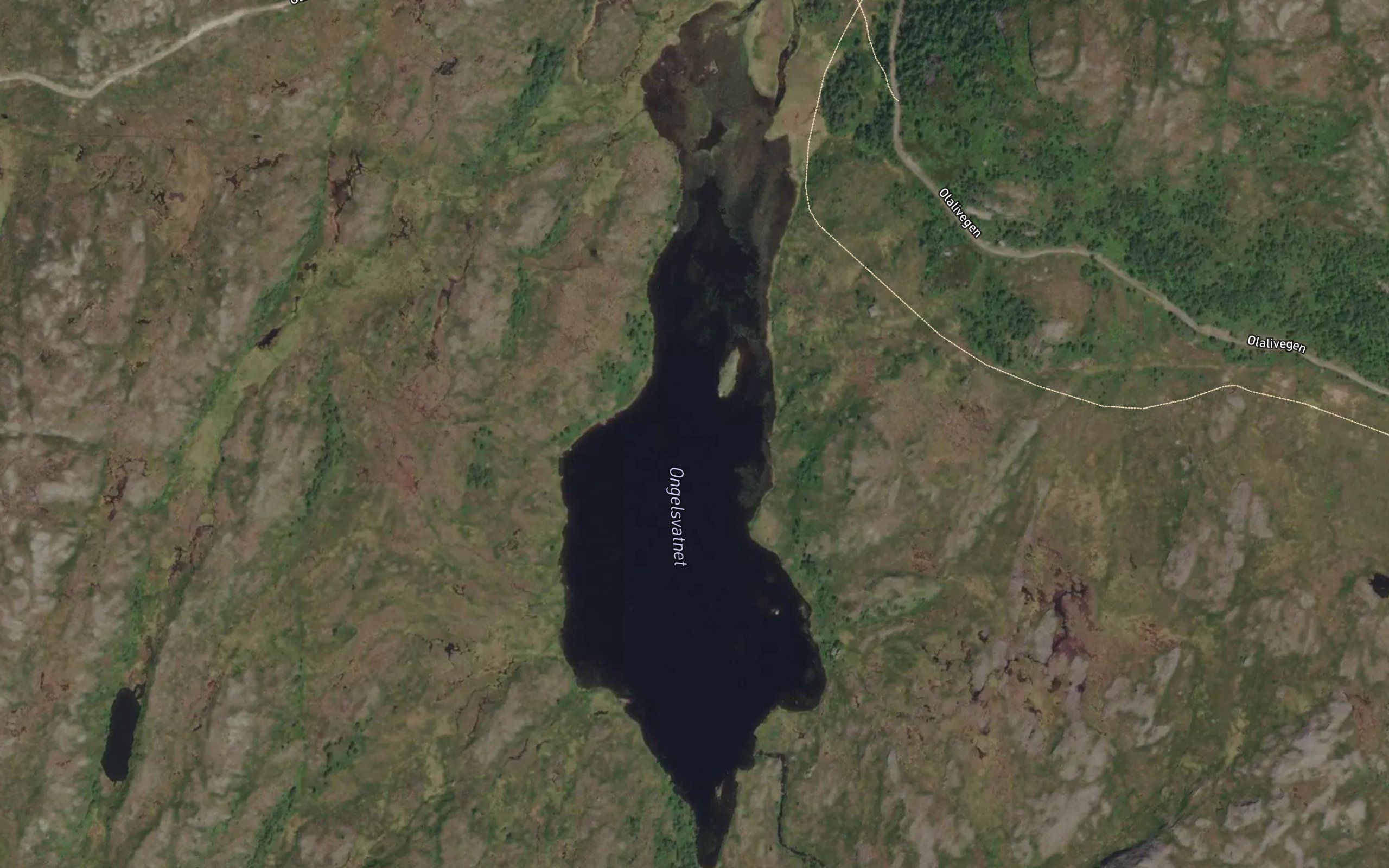Ongelsvatnet