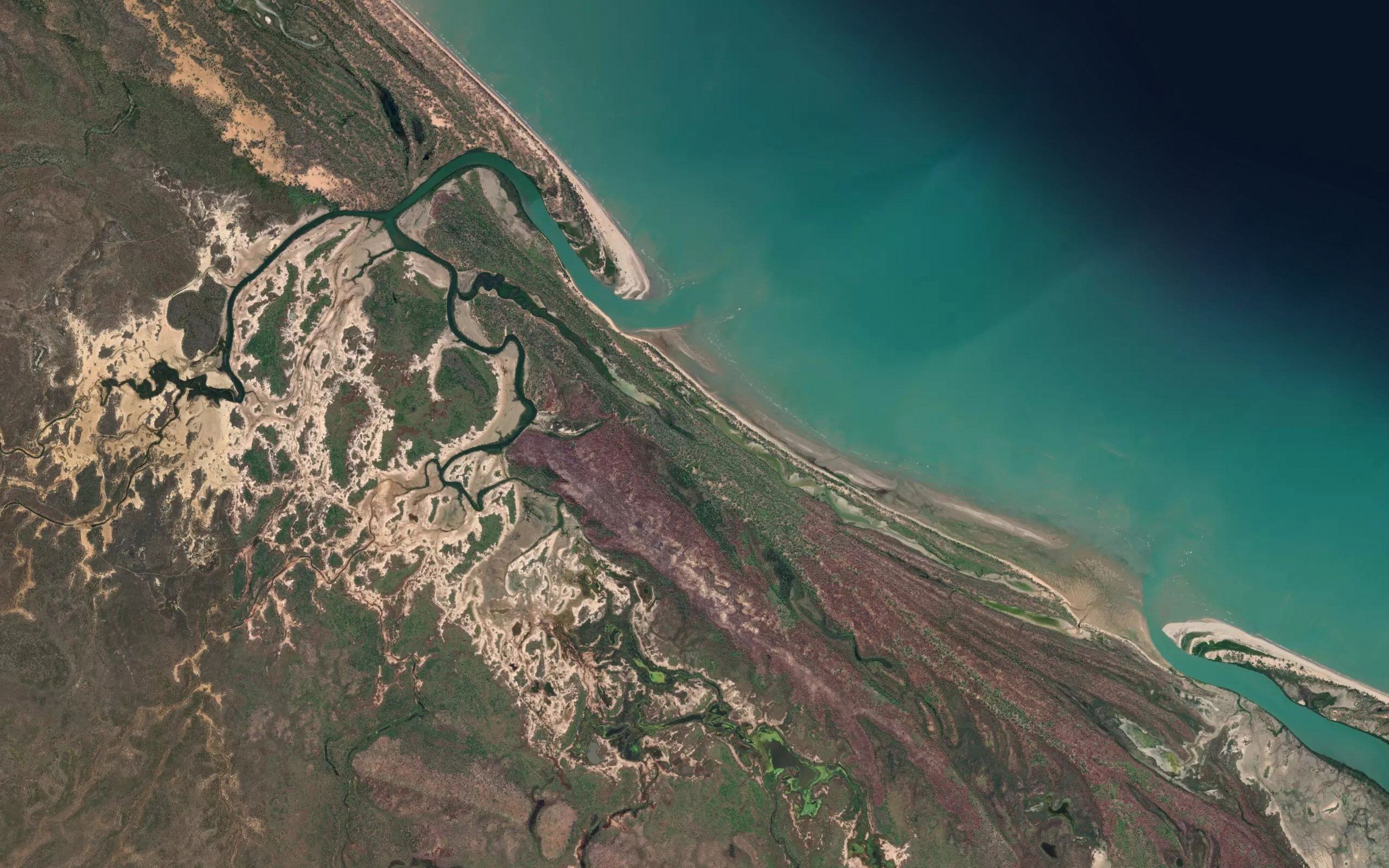 Shark Creek