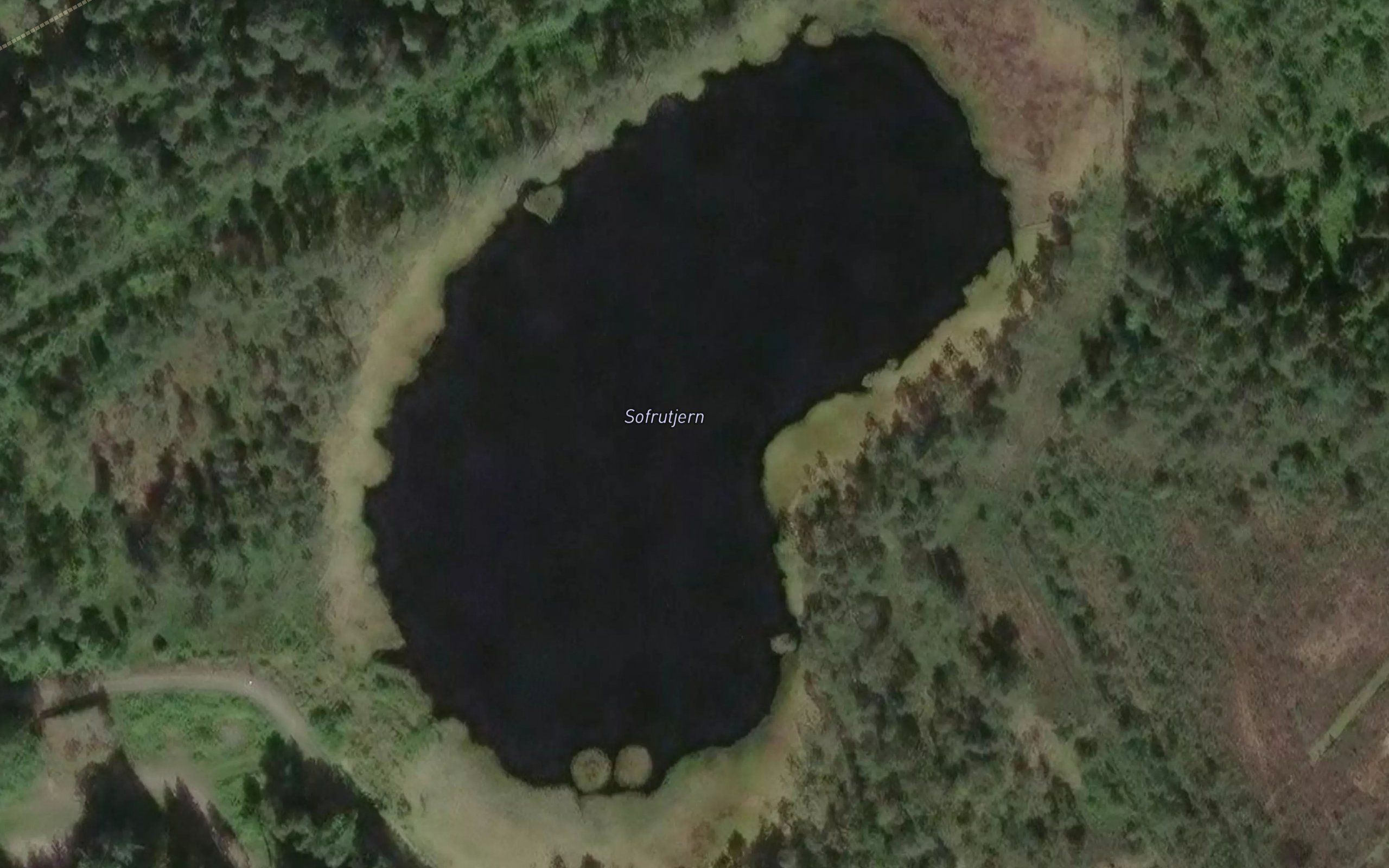 Sofrutjern