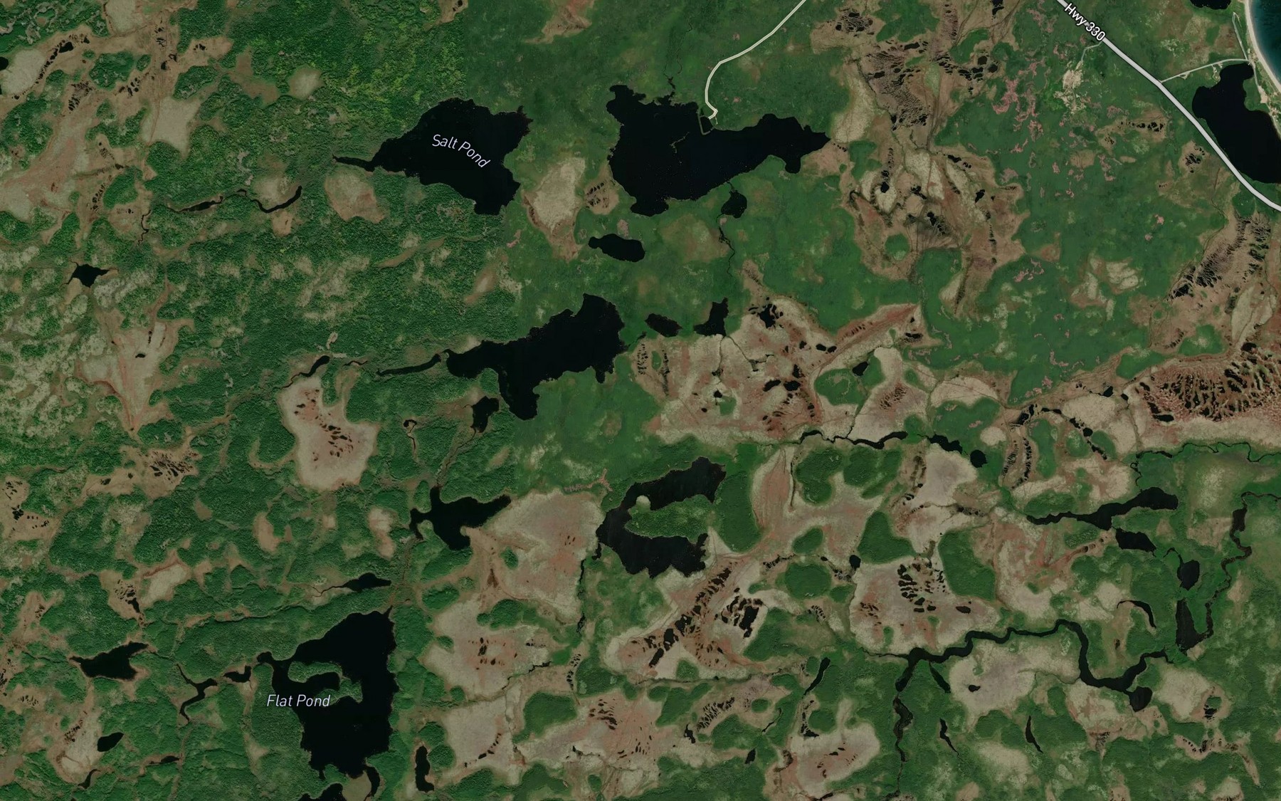 Satellite map of the Peters Pond