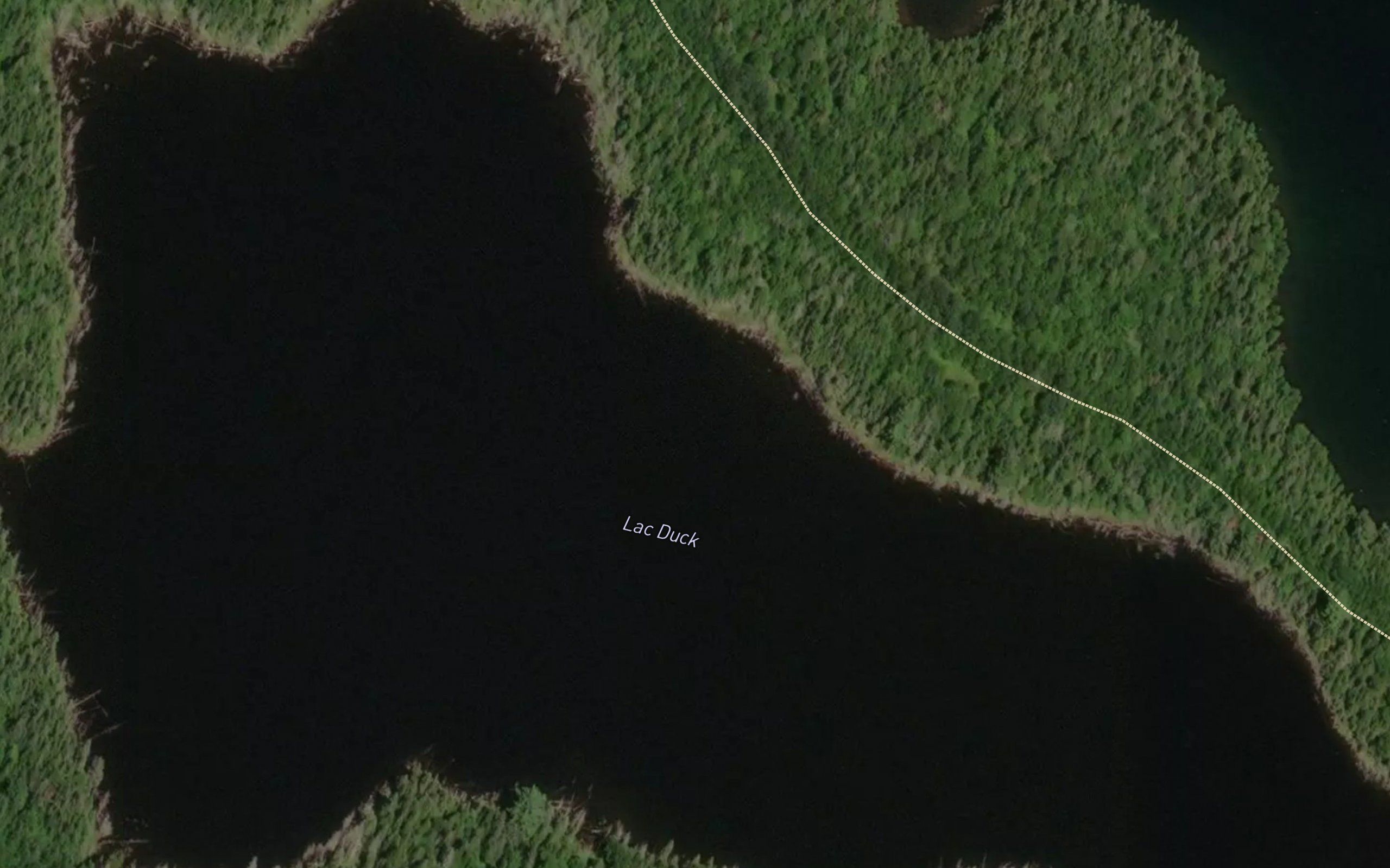 Lac Duck